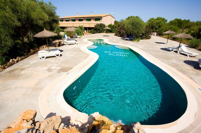 Sa Bassa Plana Finca - pool 2 (Photo 4)
